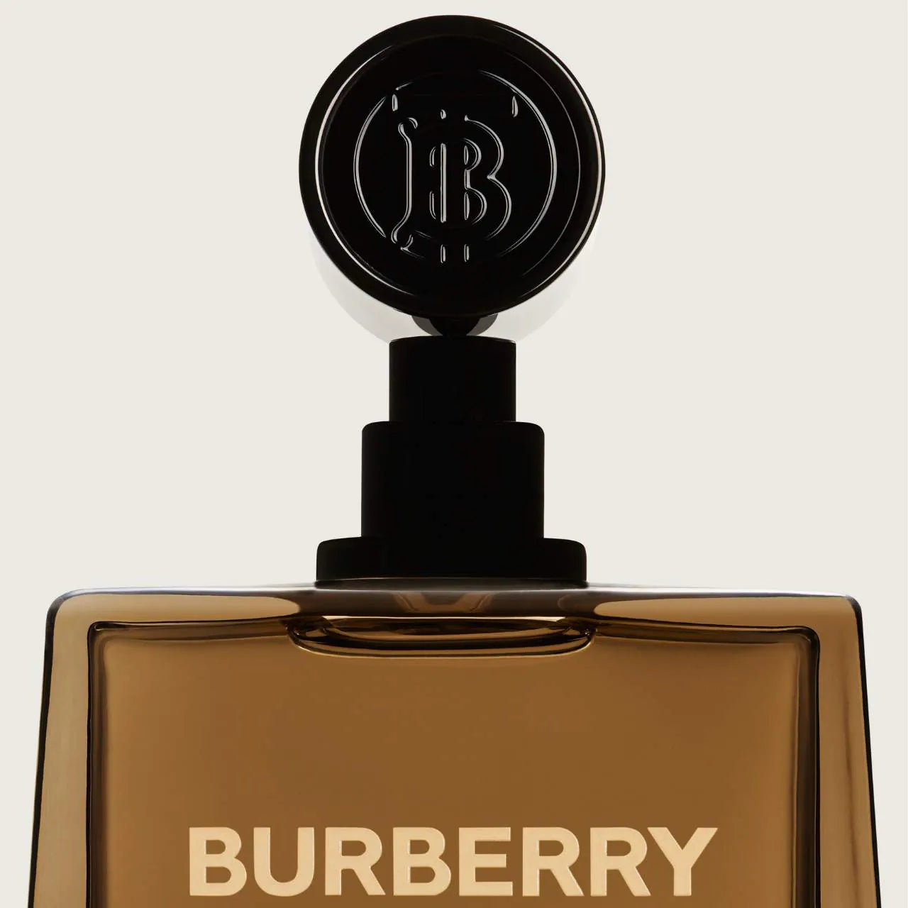 BURBERRY Hero Eau de Parfum with Pine & Cedarwood 50ml/100ml