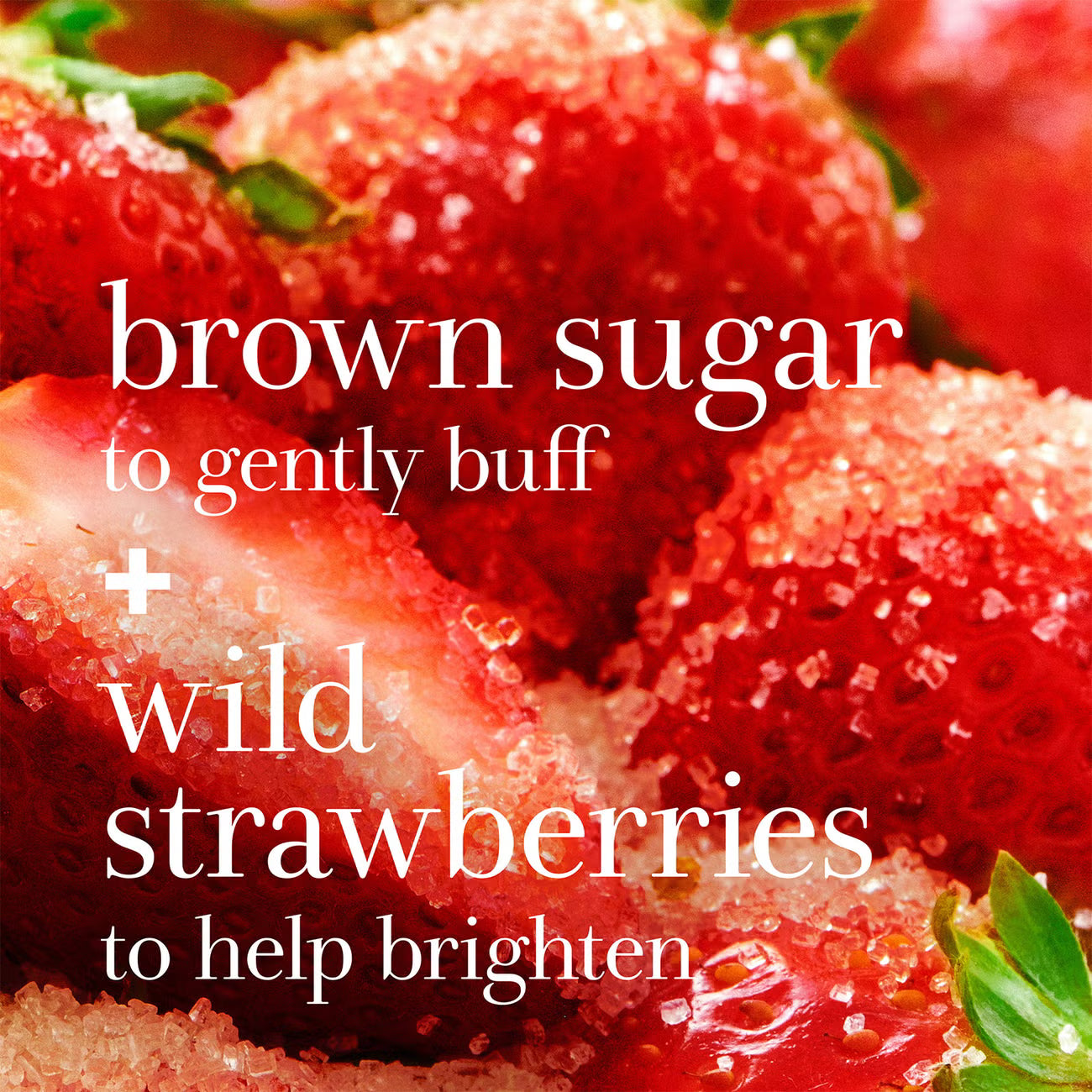 Fresh Sugar Face Polish Exfoliator 125g