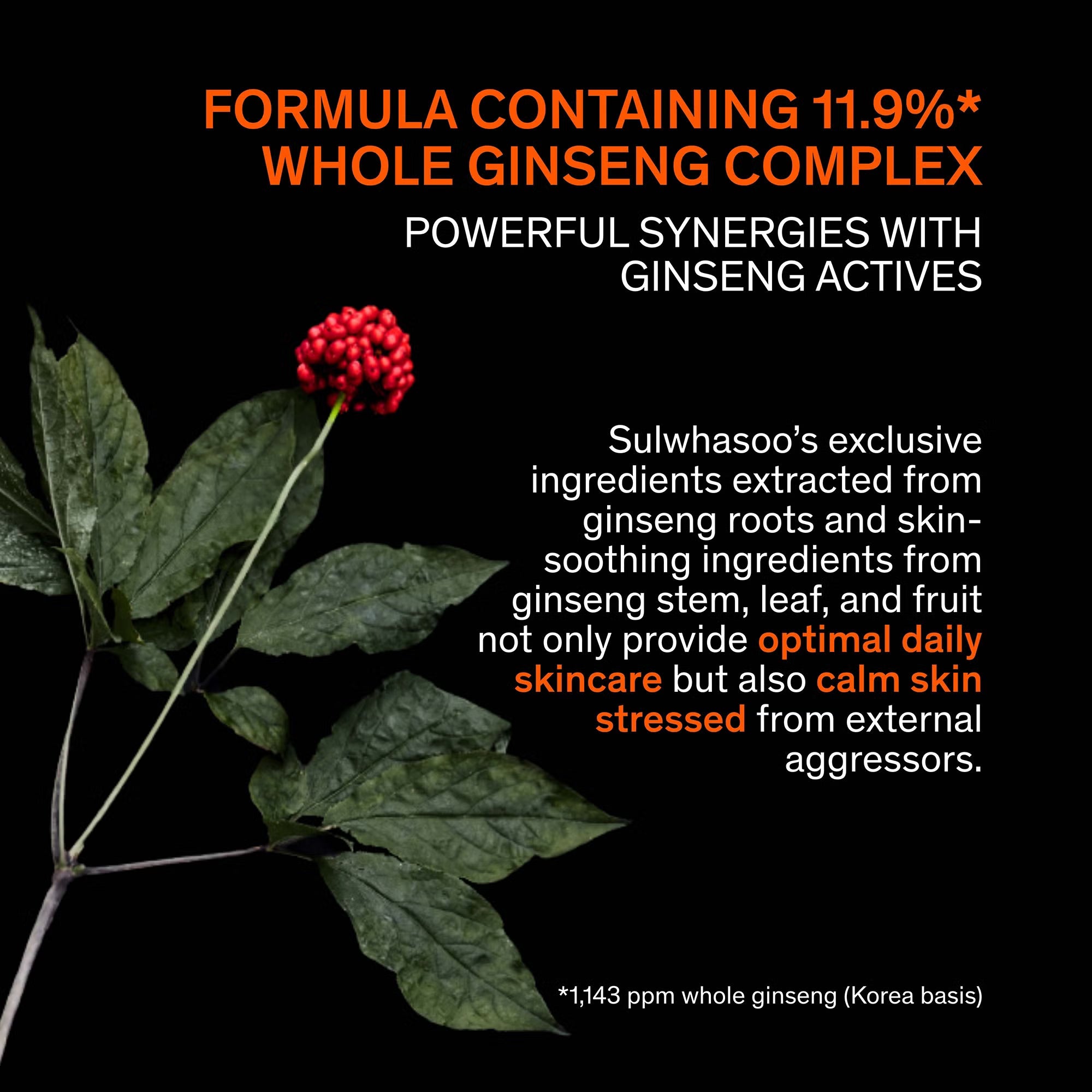 Sulwhasoo Concentrated Ginseng Rejuvenating Ampoule 20ml