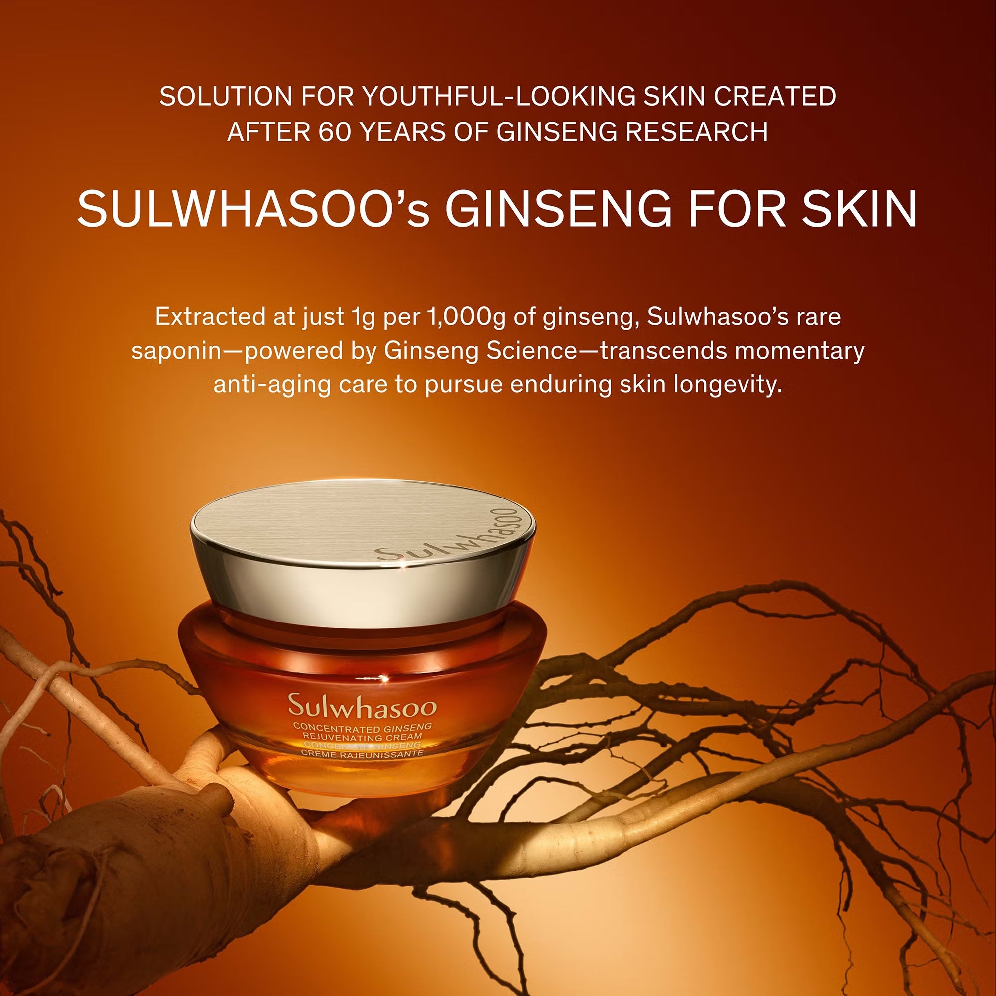 Sulwhasoo Concentrated Ginseng Rejuvenating Cream Rich 30ml/50ml