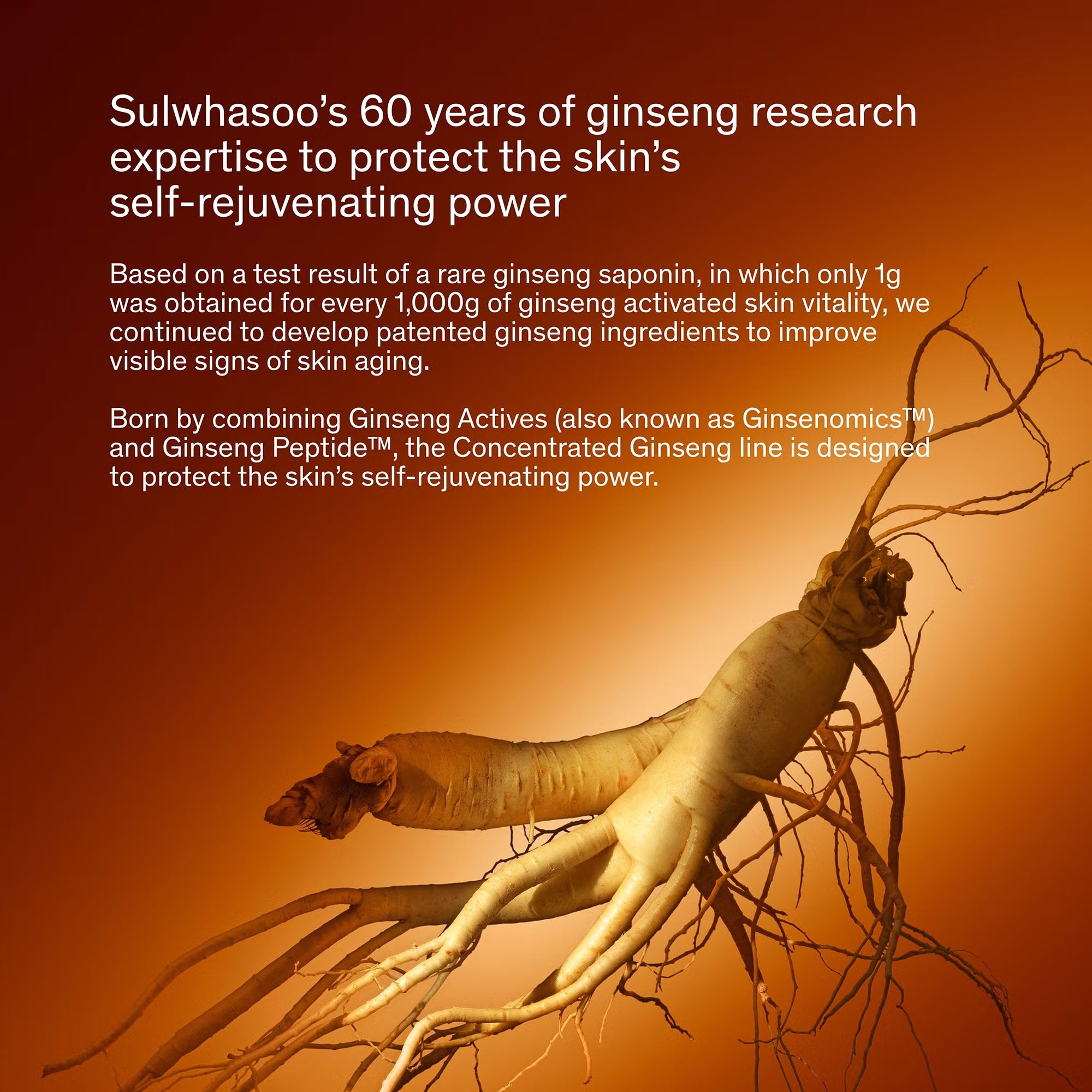 Sulwhasoo Concentrated Ginseng Rejuvenating Emulsion 40ml