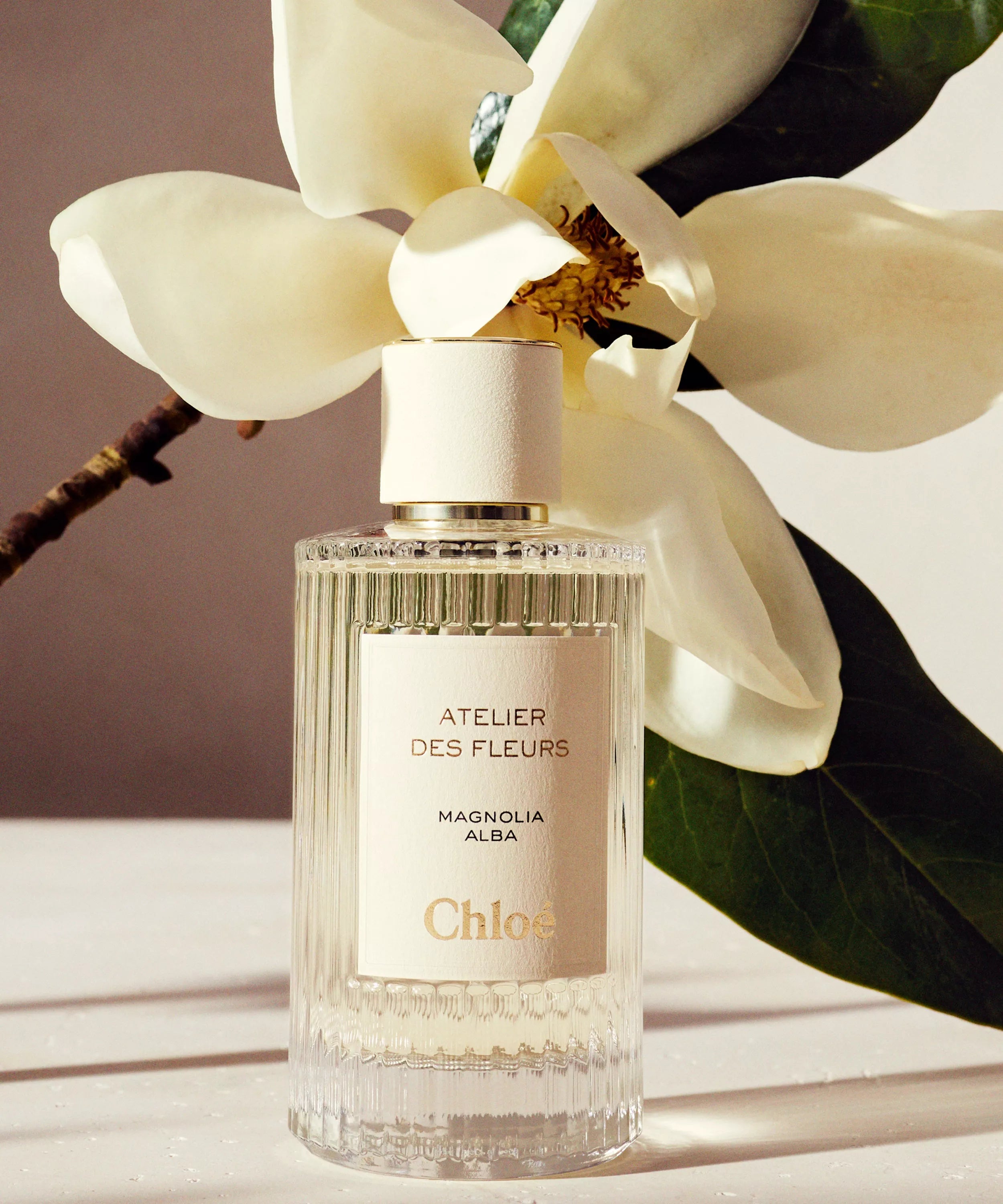 Chloé Atelier des Fleurs Magnolia Alba Eau de Parfum 50ml/150ml
