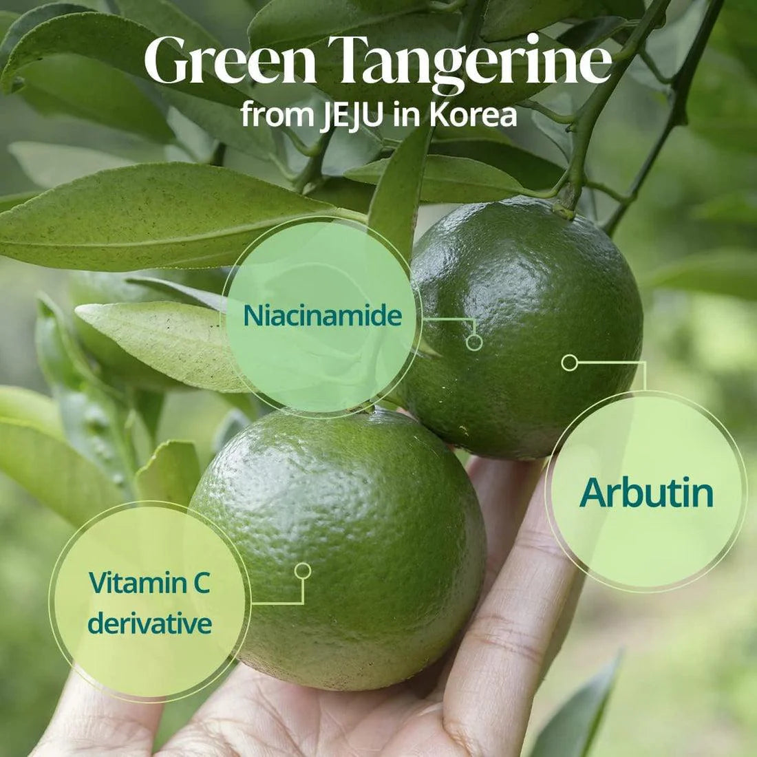 Goodal Green Tangerine Vita C Toner 300ml
