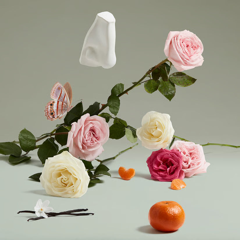 Penhaligon's THE COVETED DUCHESS ROSE Eau De Pardum 75ml
